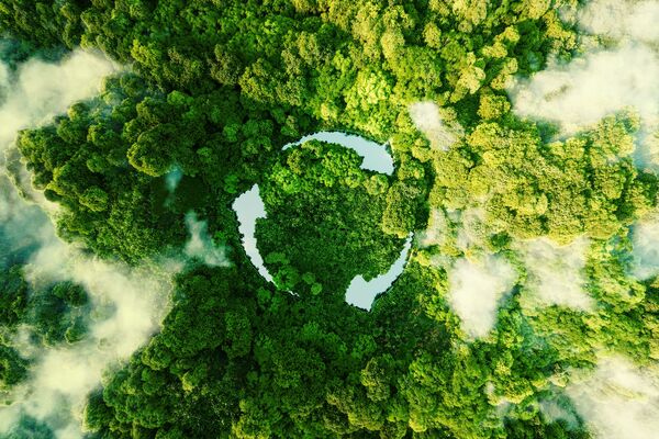 Zeichen für Kreislaufwirtschaft im Wald